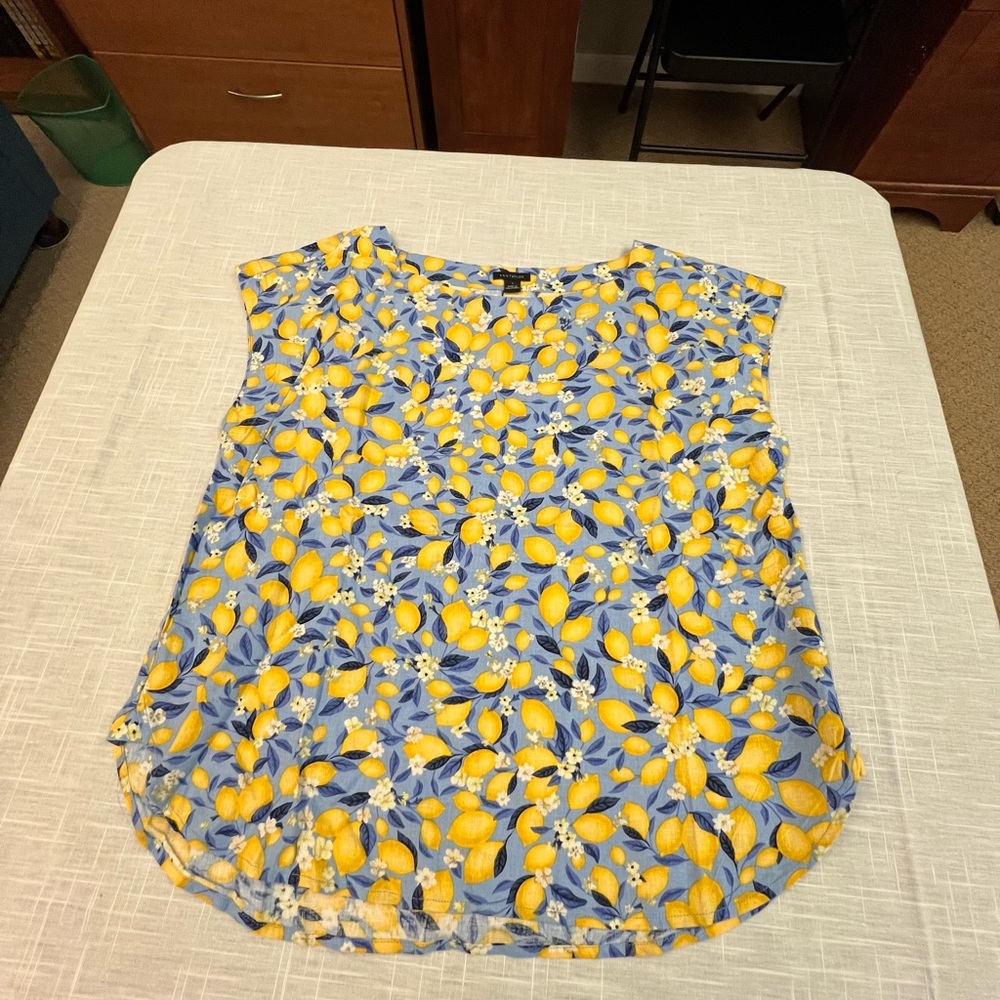 Ann Taylor Linen Boatneck Blouse